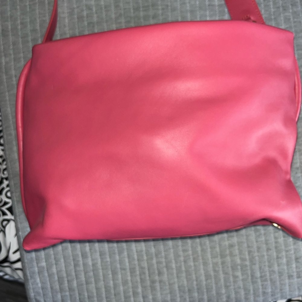 Brand New Skagen Purse (Salmon Color)